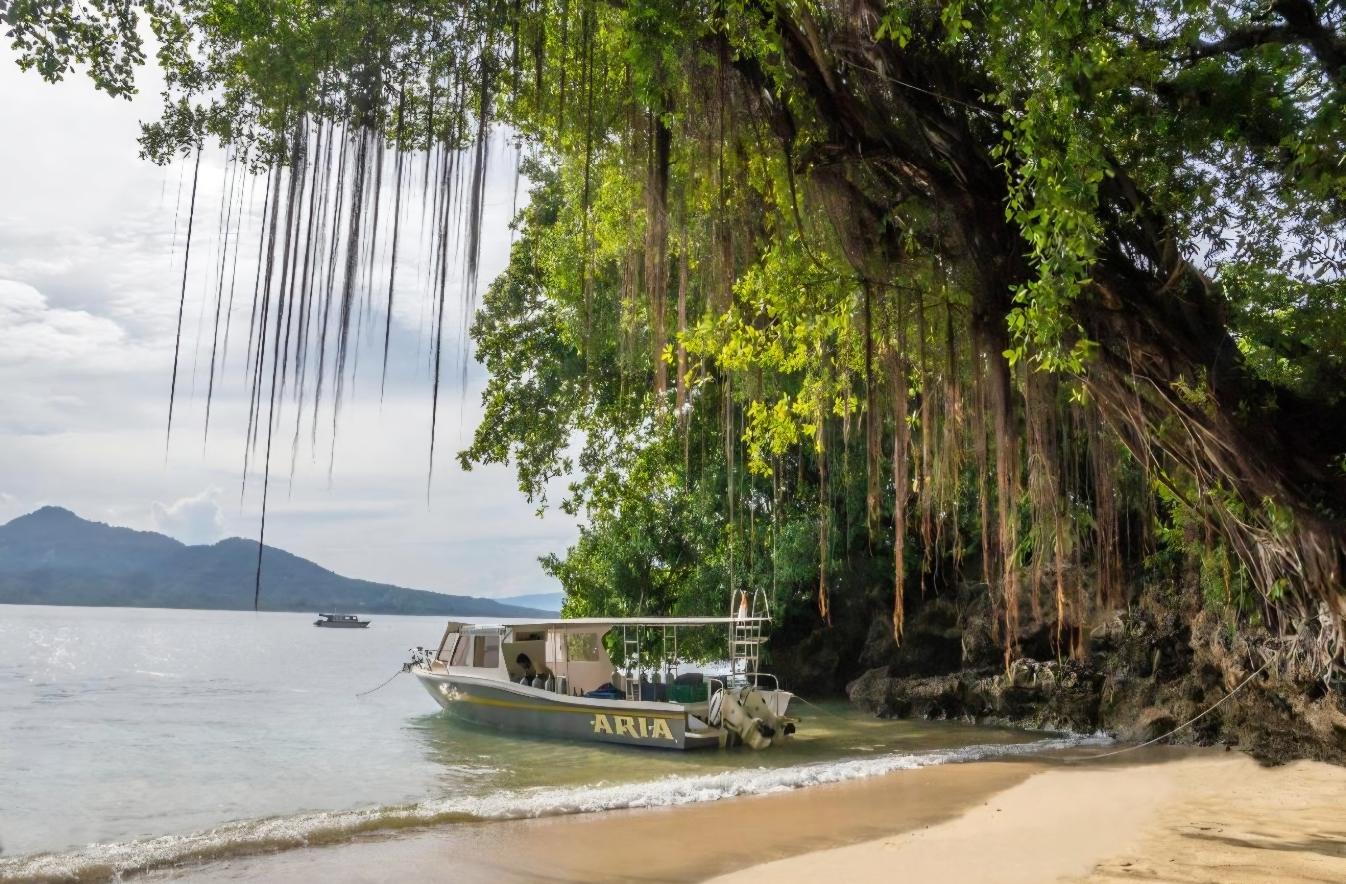 Seabreeze's dive boat beached on the private shore under a banyan tree